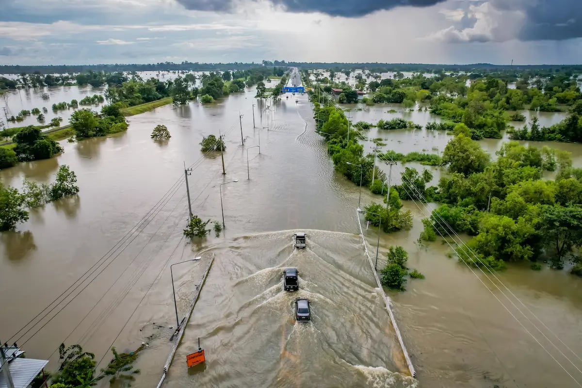 Cars driving through a flooded street after a natural disaster