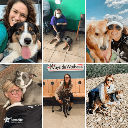 Favorite showed support for Adopt a Shelter Dog Month