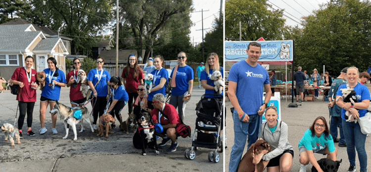 Favorite employees attend Strutt with Your Mutt in Kansas City