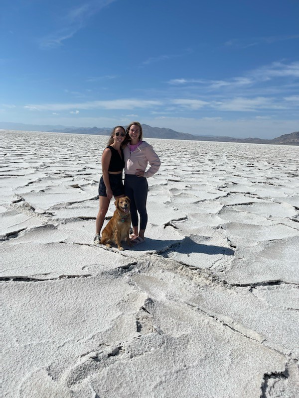 Travel nursing, Hannah and Stephanie, traveling with her dog