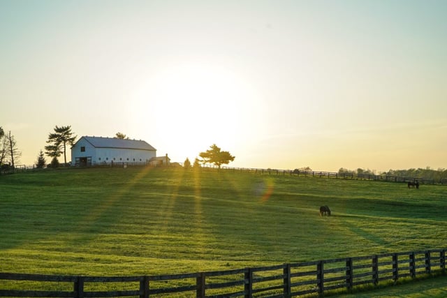 Lexington, Kentucky 