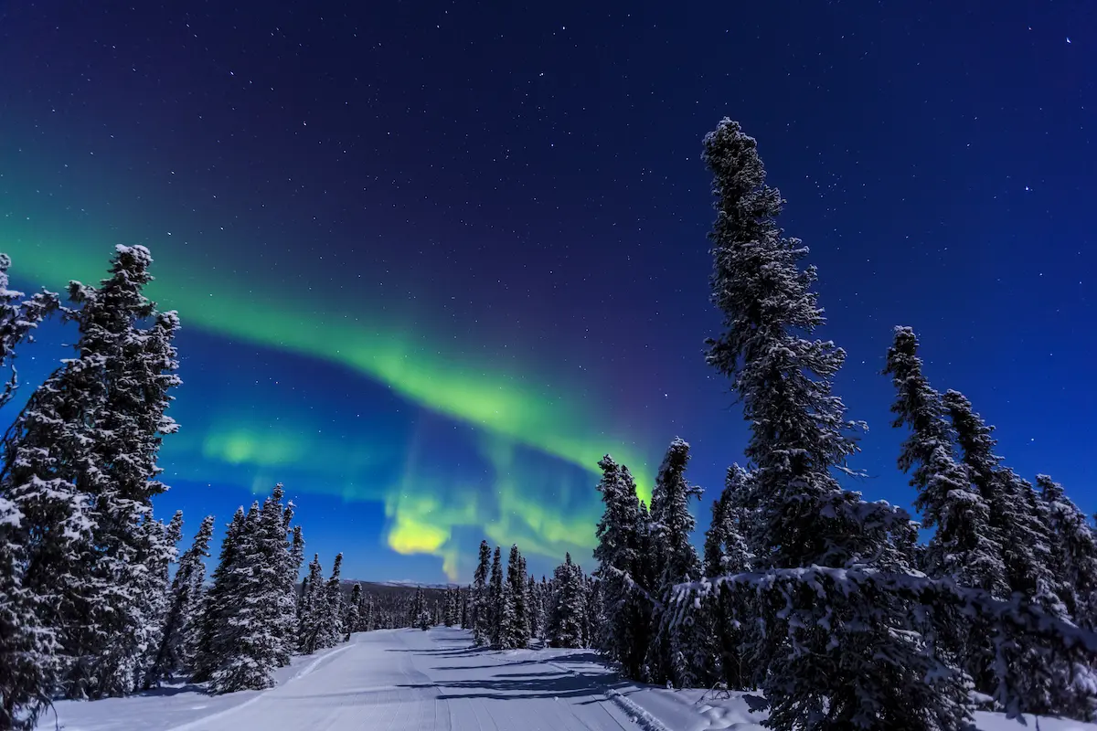 A view of the sky showing the Northern Lights in Alaska