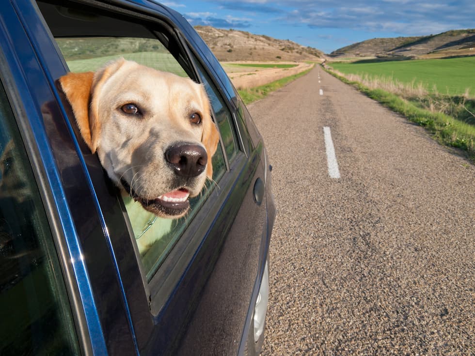 Favorite Road Trips