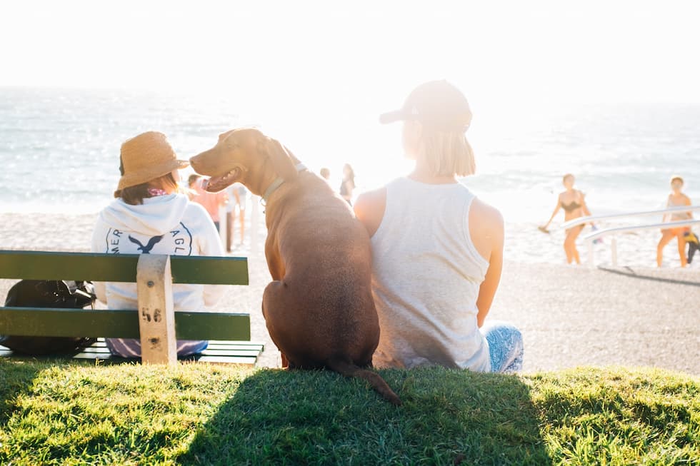 Staying Safe in the Summer Heat