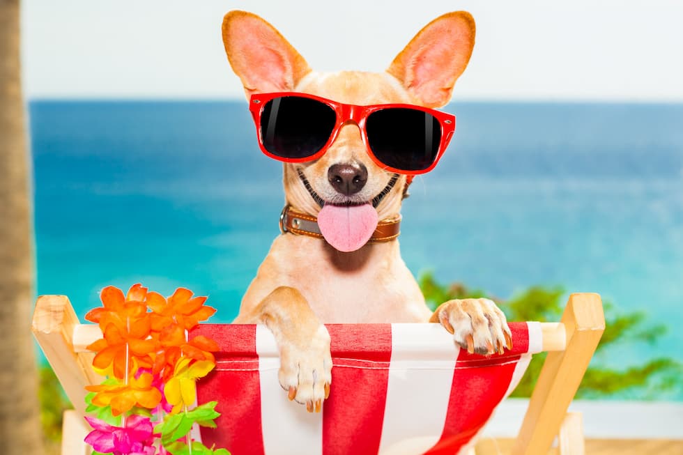 “My Favorite Things” Contest: Favorite Vacations!