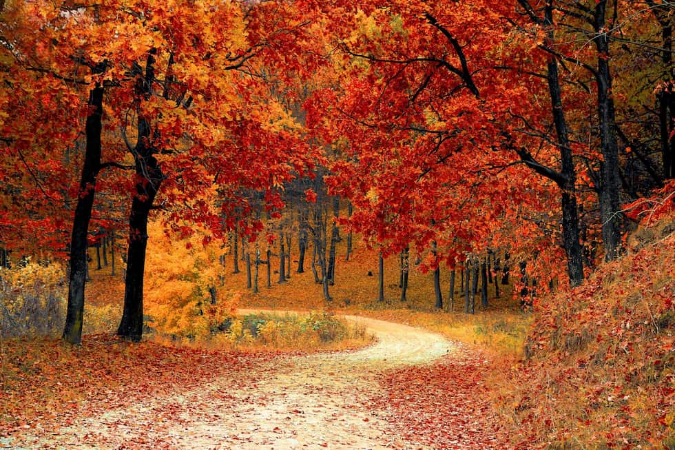 Tips to Stay Strong and Healthy This Fall