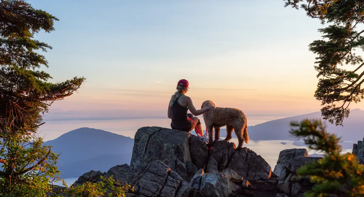 AdobeStock_280969725-1